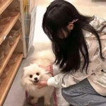 公益广告丨知法守法，远离赌博